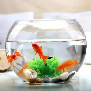 Mini Fishy Fishbowl